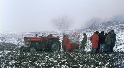 Spanish cavers + tractor and trailer of gear