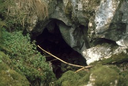 Sink cave near Cueva Rosa