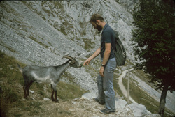 Bill and goat