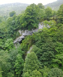 Above Boriza; flyers at top right