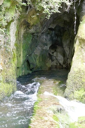 La Borbolla resurgence<br>(Nacimiento del Río Cabras) La Borbolla resurgence<br>(Nacimiento del Río Cabras)