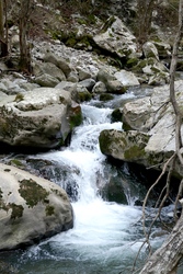 Riega Cicera stream Riega Cicera stream