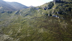 Green Sink path & saddle Green Sink path & saddle