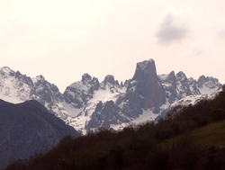 Naranja de Bulnes