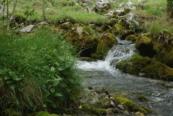 Nacimiento del Río Gándara Nacimiento del Río Gándara