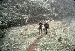 In the snow In the snow