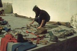 Sorting gear Sorting gear