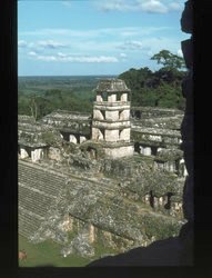 Palenque Palenque