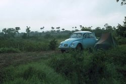 ‘Campsite’ ‘Campsite’