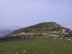 Paddock above Roza Paddock above Roza